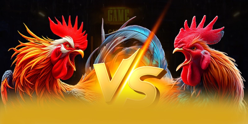 8XBET - Ưu đãi và khuyến mãi giá trị cao
